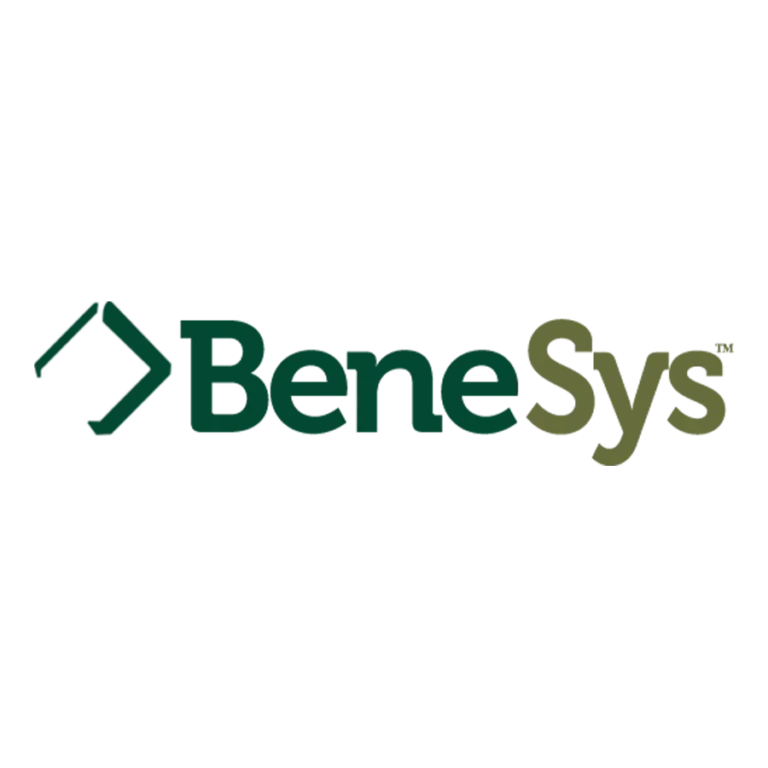 LOGO BENESYS